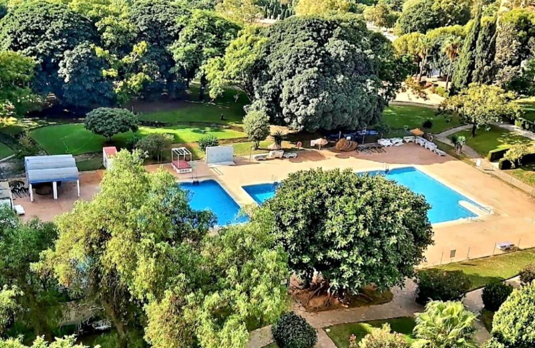 New Swimming Pool Apartament